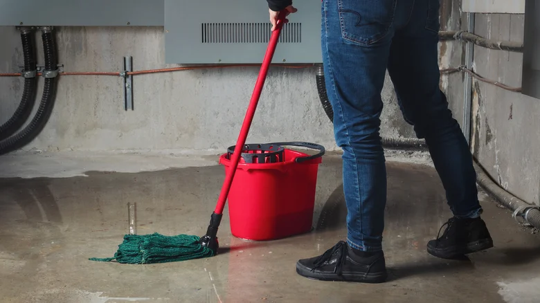 Basement Waterproofing Warranties: What They Actually Cover (And What They Don’t)